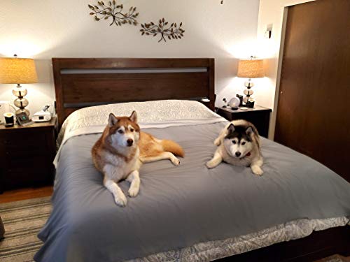 SILLY LEGACY Funda Protectora Reversible e Impermeable Cama, el Sof&aacute;, los Muebles, para Perros,...